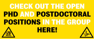 Check out open PhD and postdoctoral positions in the BCP group here